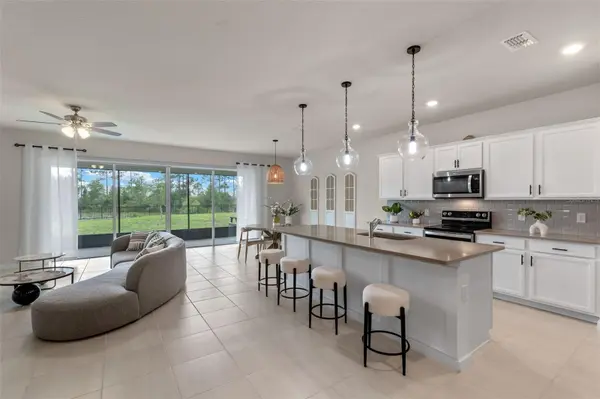 17319 MILLION LAKES CT, Clermont, FL 34714