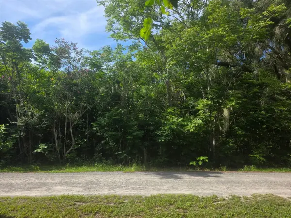 6601 SE 119TH ST,  Belleview,  FL 34420