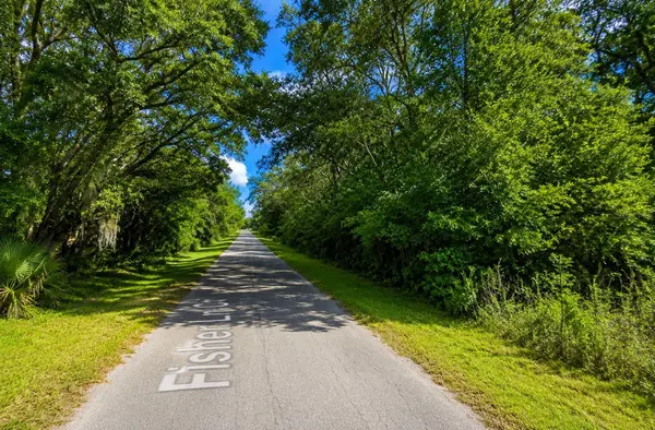FISHER LN CT, Ocklawaha, FL 32179