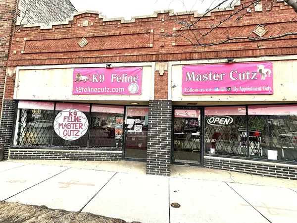 3620 W Division ST, Chicago, IL 60651