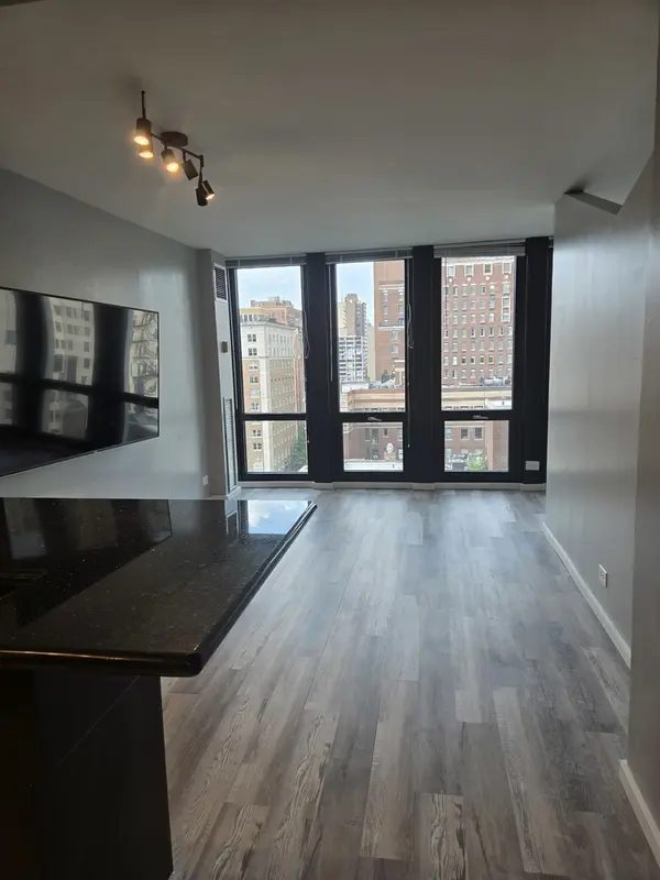 1 E Scott ST #1412, Chicago, IL 60610