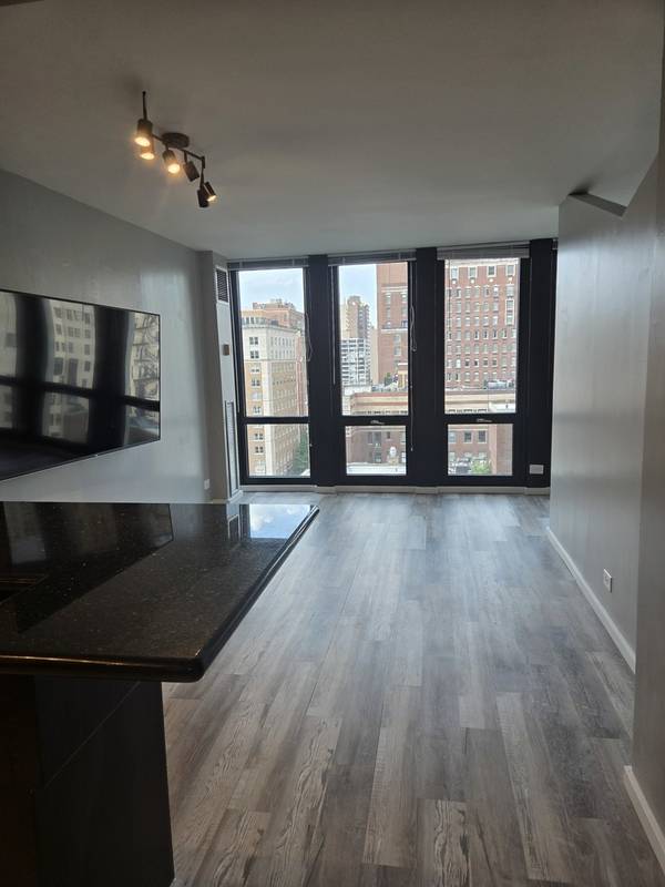 1 E Scott ST #1412, Chicago, IL 60610