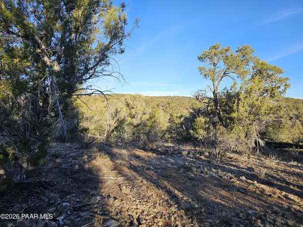 32397 W Camino Oso, Seligman, AZ 86337