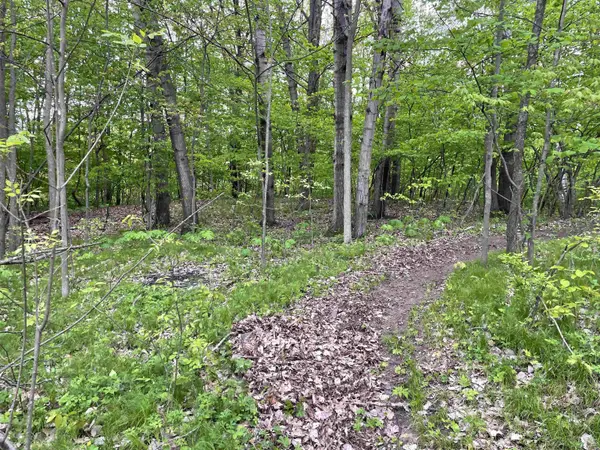 587 CROSS COUNTRY CT,  Hobart,  WI 54155-0000