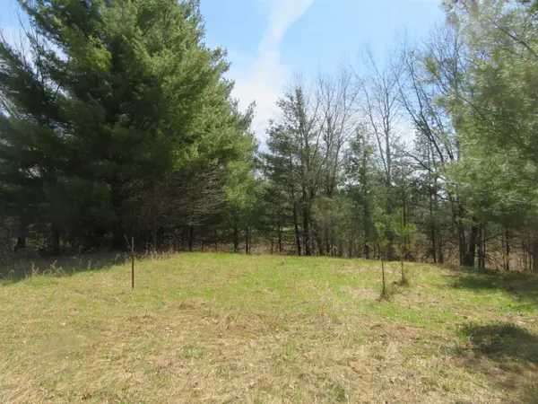 RULAU RD, Iola, WI 54945