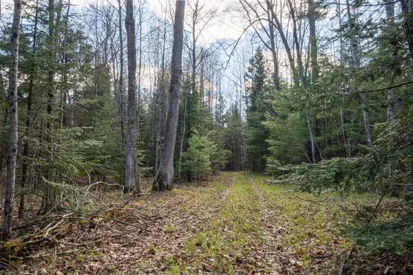 COUNTY ROAD X, Crivitz, WI 54114