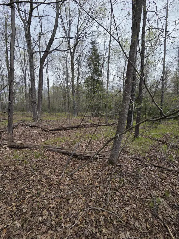 CHAPIN RD, Wausaukee, WI 54177