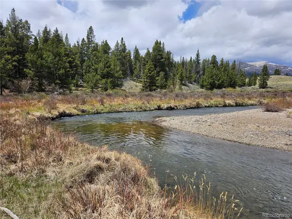 700 Looney LN, Alma, CO 80420
