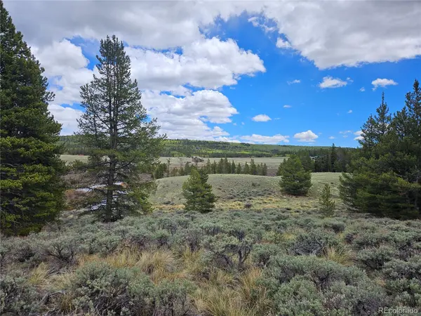 700 Looney LN, Alma, CO 80420