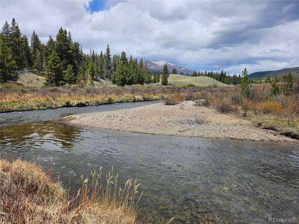 700 Looney LN, Alma, CO 80420