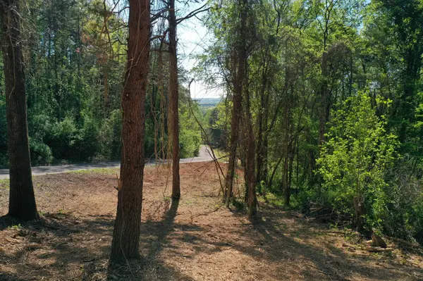 0 Elm Lane Lot 16 Lane, Sweetwater, TN 37874