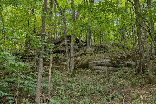 2100 Hawkins Branch Rd, Bethpage, TN 37022