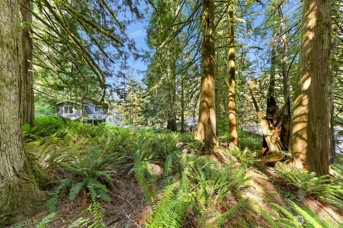 14 Woodpecker PL, Bellingham, WA 98229