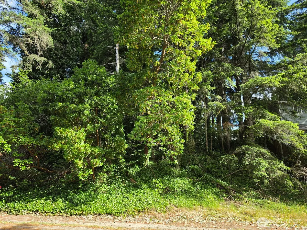 140 NE Matthew DR, Belfair, WA 98528