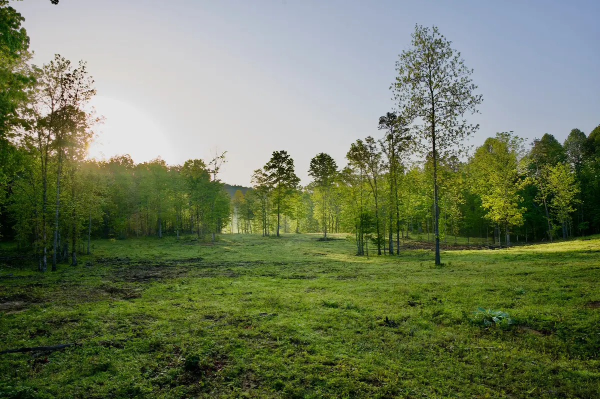 40A Barker Cove Loop, Palmer, TN 37365