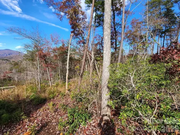 0 Sparrows WAY #46, Lake Lure, NC 28746