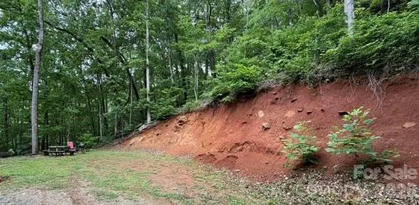 00 Charleston Harbor DR #11, Saluda, NC 28773