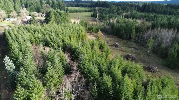 9605 Prather RD SW, Rochester, WA 98579