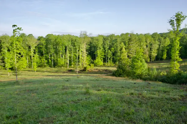 40A Barker Cove Loop, Palmer, TN 37365