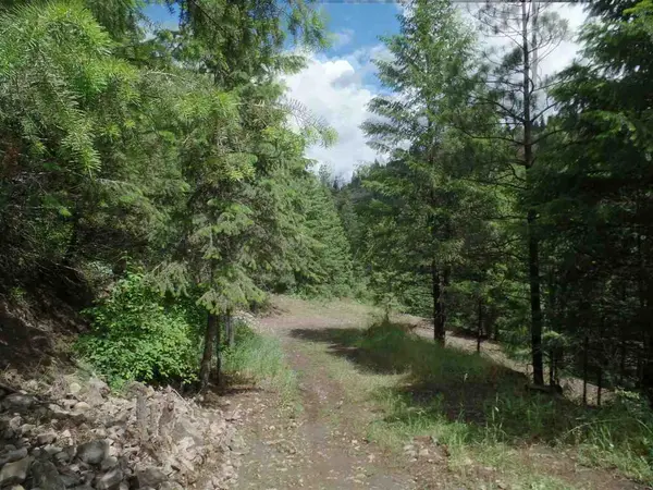 32655 N Hawk Creek Rd, Davenport, WA 99122