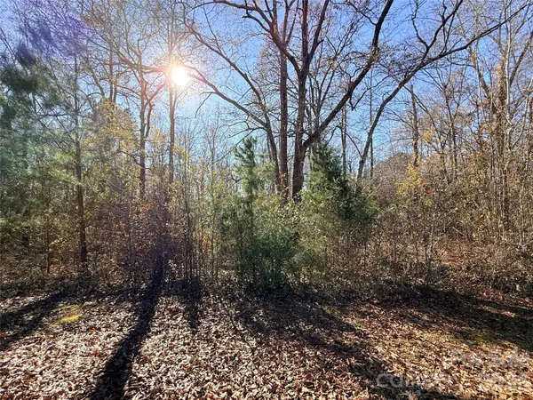 Lot 24 Avalon LN #24, Lancaster, SC 29720