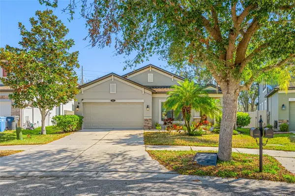 11652 PALMETTO PINE ST, Riverview, FL 33569