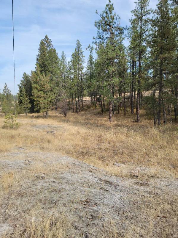 Xxx S Clear Lake Rd, Medical Lake, WA 99002