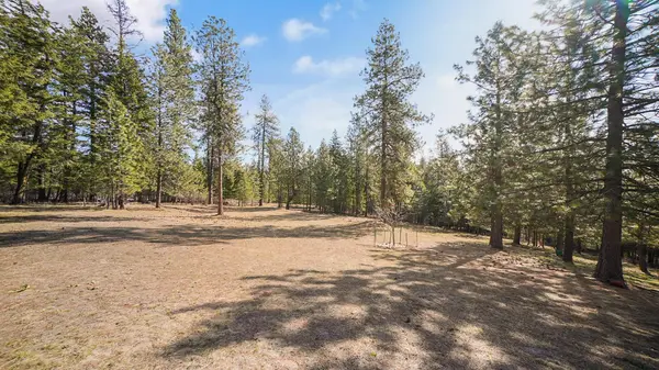14104 Koth Rd, Newman Lake, WA 99025