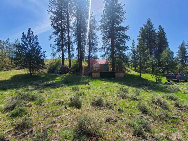 33000 Richardson Ln, Davenport, WA 99122