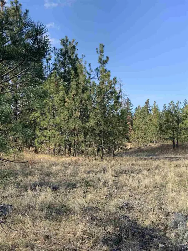 34442 N Partridge Ln, Davenport, WA 99122-5301