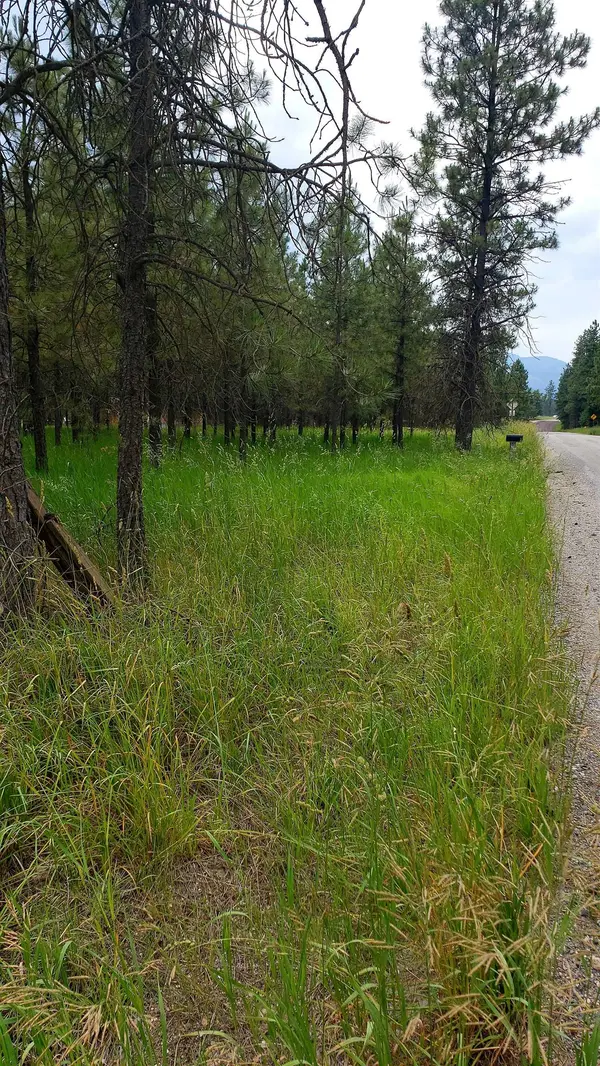 332 Rockcut Rd, Orient, WA 99160
