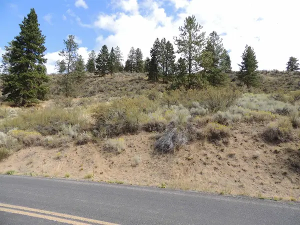 42340 Buckhorn Rd. N. #Lot 5, Deer Meadows, WA 99122