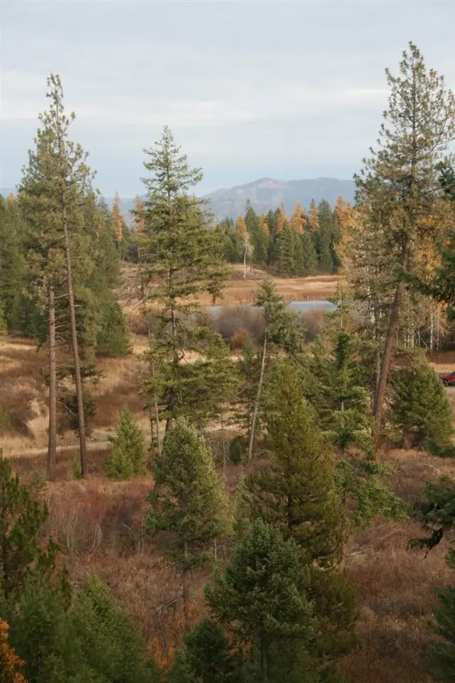 000 Little Sweden Rd #Lot 1, Valley, WA 99181