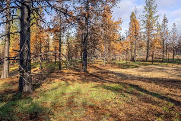 14012 E Bridges Rd, Elk, WA 99009