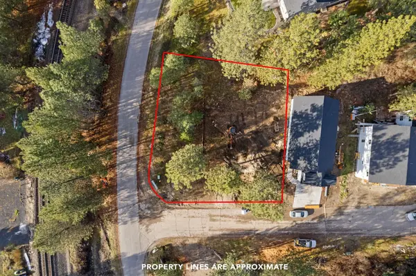 40069 Lake Terrace Ct, Loon Lake, WA 99148