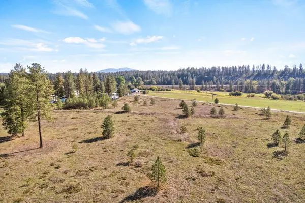 XXXX N Crescent Rd #Parcel #38342.9013, Chattaroy, WA 99003