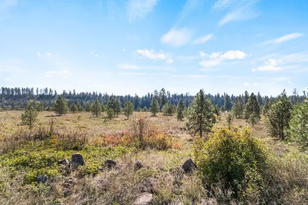 XXXX N Crescent Rd #Parcel #38342.9013, Chattaroy, WA 99003