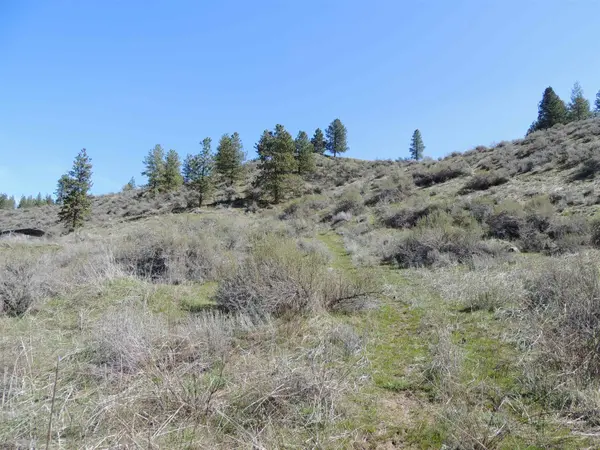 42760-42780 Buckhorn Rd. N., Deer Meadows, WA 99122