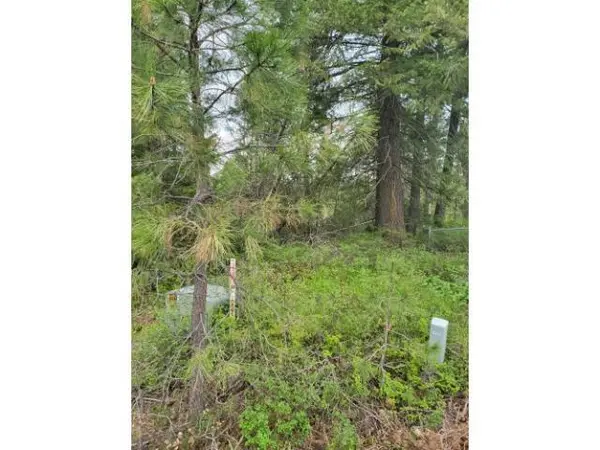 212 Diamond Dr, Newport, WA 99156
