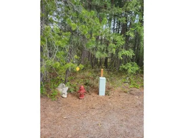 212 Diamond Dr, Newport, WA 99156