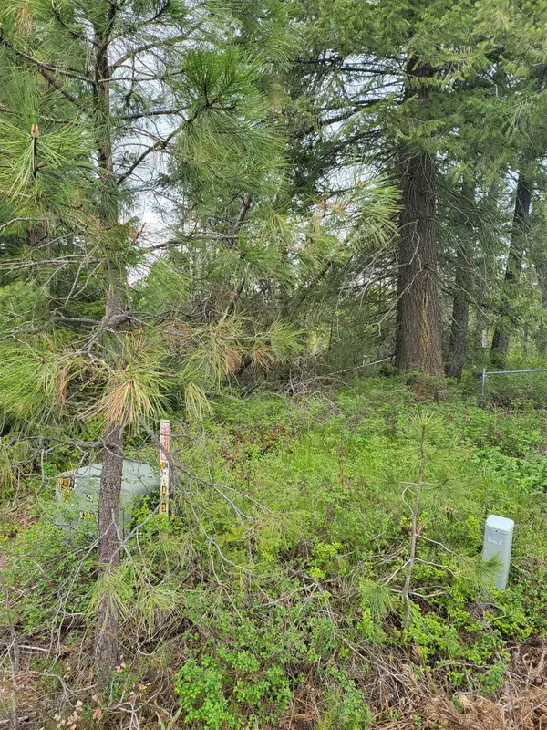 NNA Diamond Dr, Newport, WA 99156