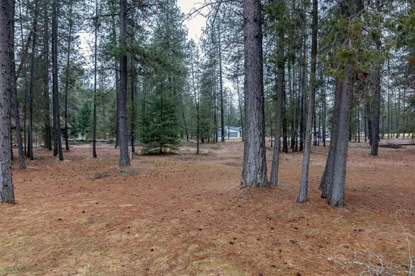 533 Hogans Way, Chewelah, WA 99109