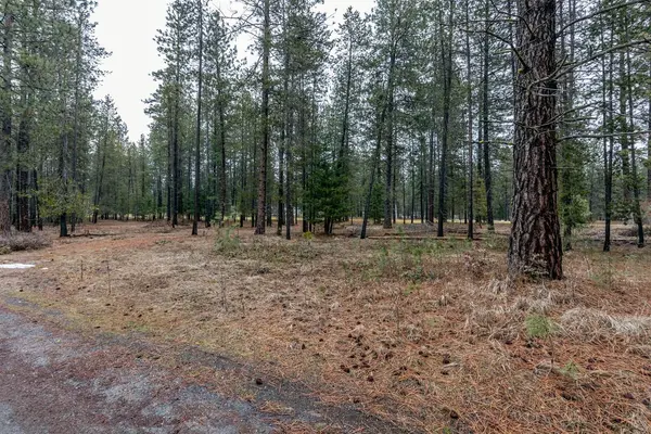 533 Hogans Way, Chewelah, WA 99109