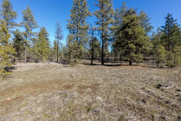 129xx S Goss Rd, Cheney, WA 99004