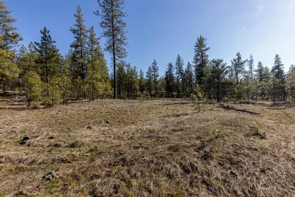 129xx S Goss Rd, Cheney, WA 99004