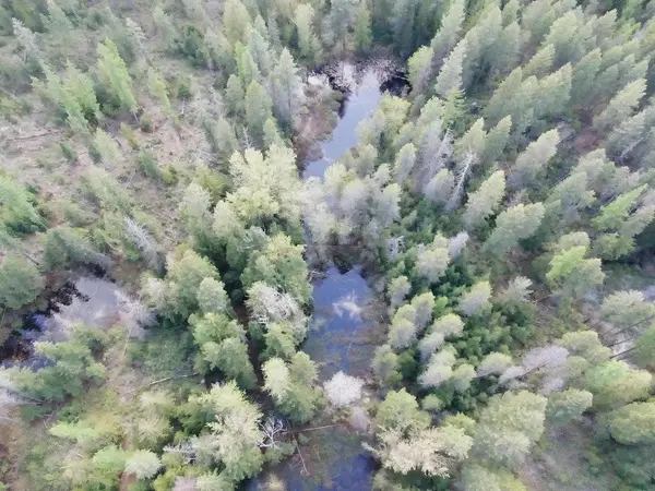 20XX Veit Rd, Newport, WA 99156-0000