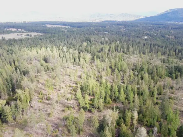 20XX Veit Rd, Newport, WA 99156-0000