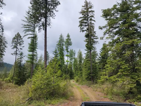20XX Veit Rd, Newport, WA 99156-0000