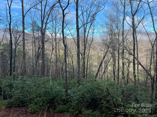 00 Ridgecrest DR, Lake Lure, NC 28746