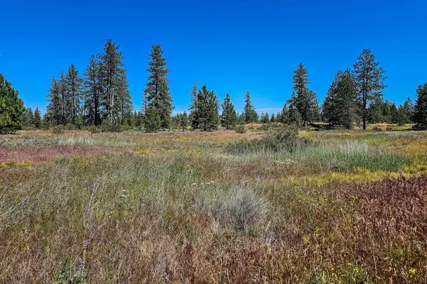 51200 E Whispering Pines Dr, Reardan, WA 99029